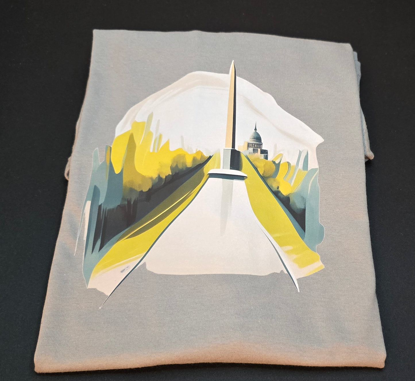 Short sleeve T-shirt "DC"